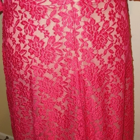 Melrose Pink Lace Illusion A Line Dress; Size 10 - Picture 5 of 8
